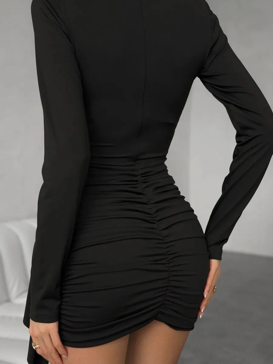 Long sleeve Crew Neck dress