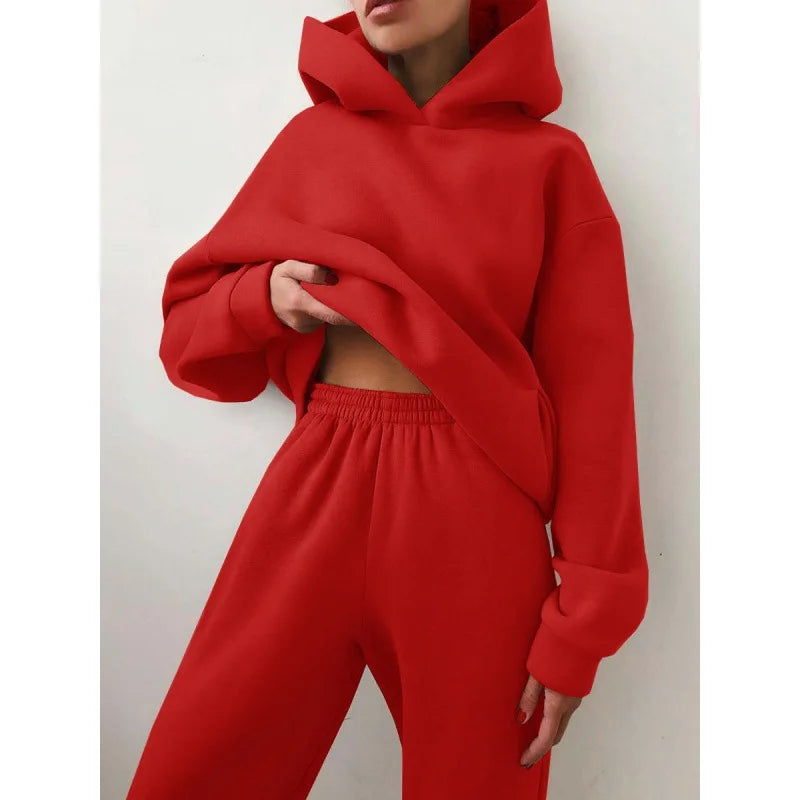 Hooded Tracksuit Sports 2 Pieces Set