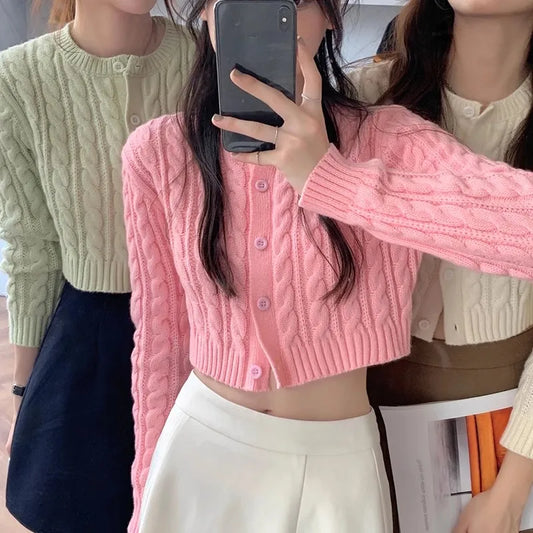 Vintage Vibes Crop Knit