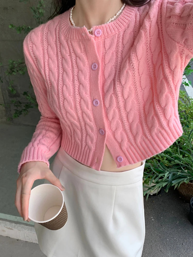 Vintage Vibes Crop Knit