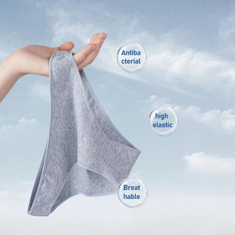 Daily Fit Panties
