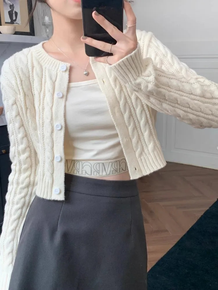 Vintage Vibes Crop Knit